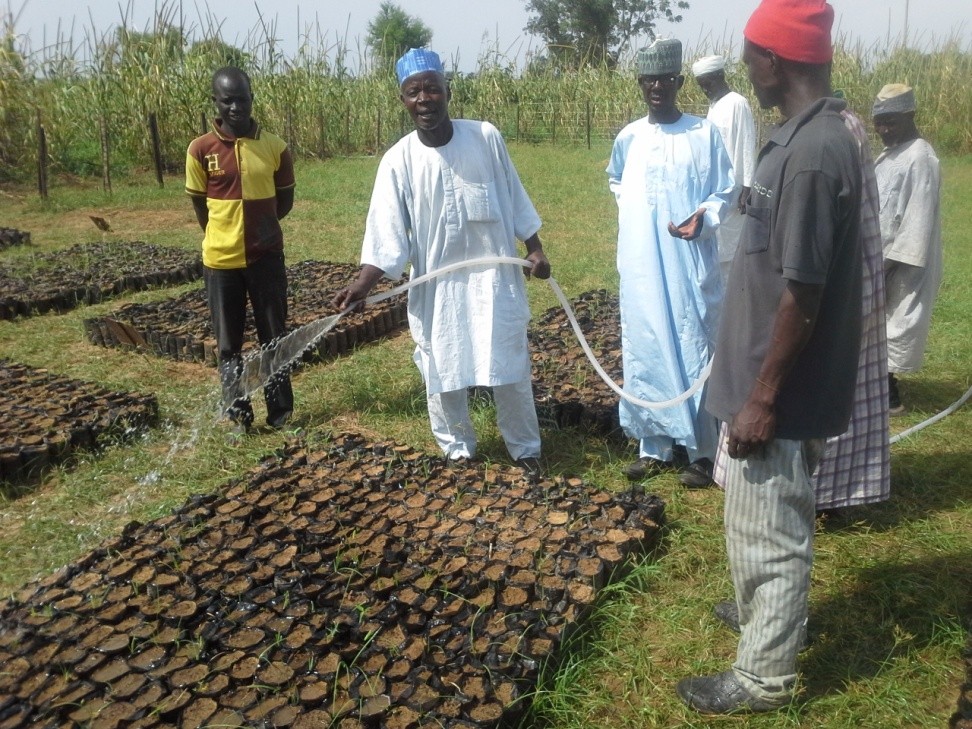 Nursery Establishment